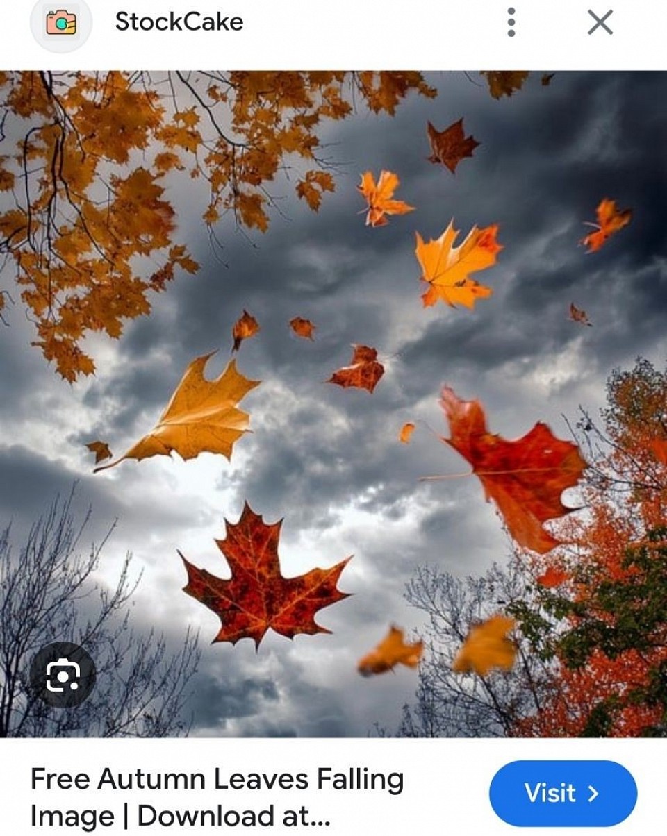 For the home education community please see bottom of Poi Page for more info. I have seen my first 🍂 Autumn Leaf 🌿 fall. IT IS AUTUMN 27TH SEPTEMBER 2025