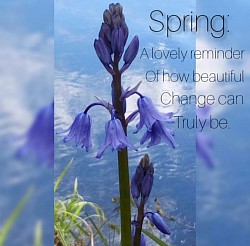 Images created by JLW - Mindful - wildness 2020