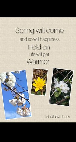 Mindfulwildness