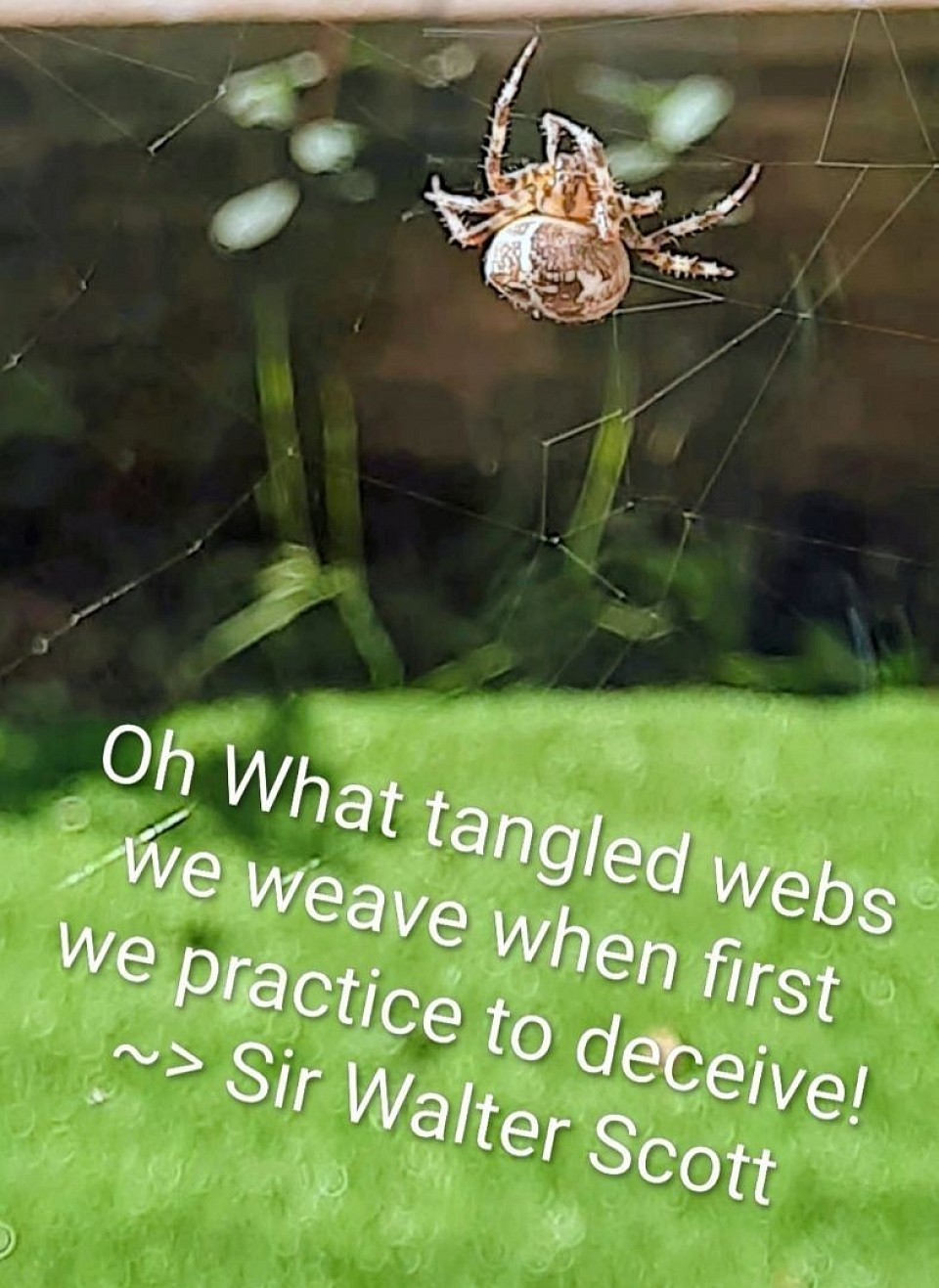 .