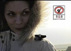 🅱️ACT -      Shire L W