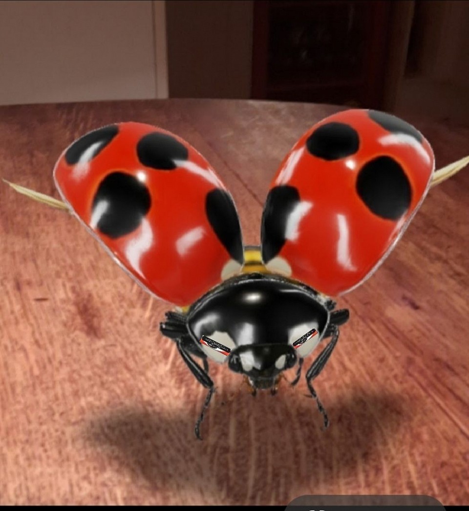 The AI Google Lady Bug that started the 4HealthMuse journey over at X - The Google AI Lady Bug is the 4HealthMuse BACT & SOS mascot.