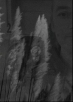 you can then add the pah pah to the pew pew