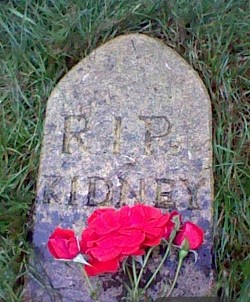 My ole faithful Queen of all Queens 1993 - 2006 - Headstone made by my daughter and a stone mason.