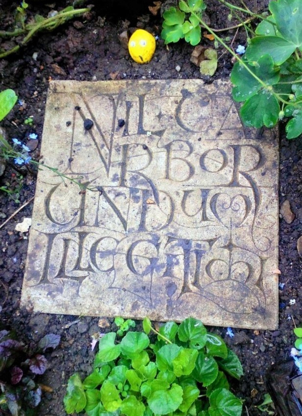 Nil Carborundum Illegitimi - Don't let the bastard's grind you down.